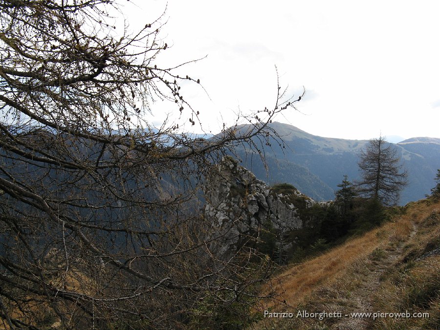 05 tratto di sentiero dalla baita verso il colle.JPG - 05 Tratto di sentiero dalla baita verso il colle